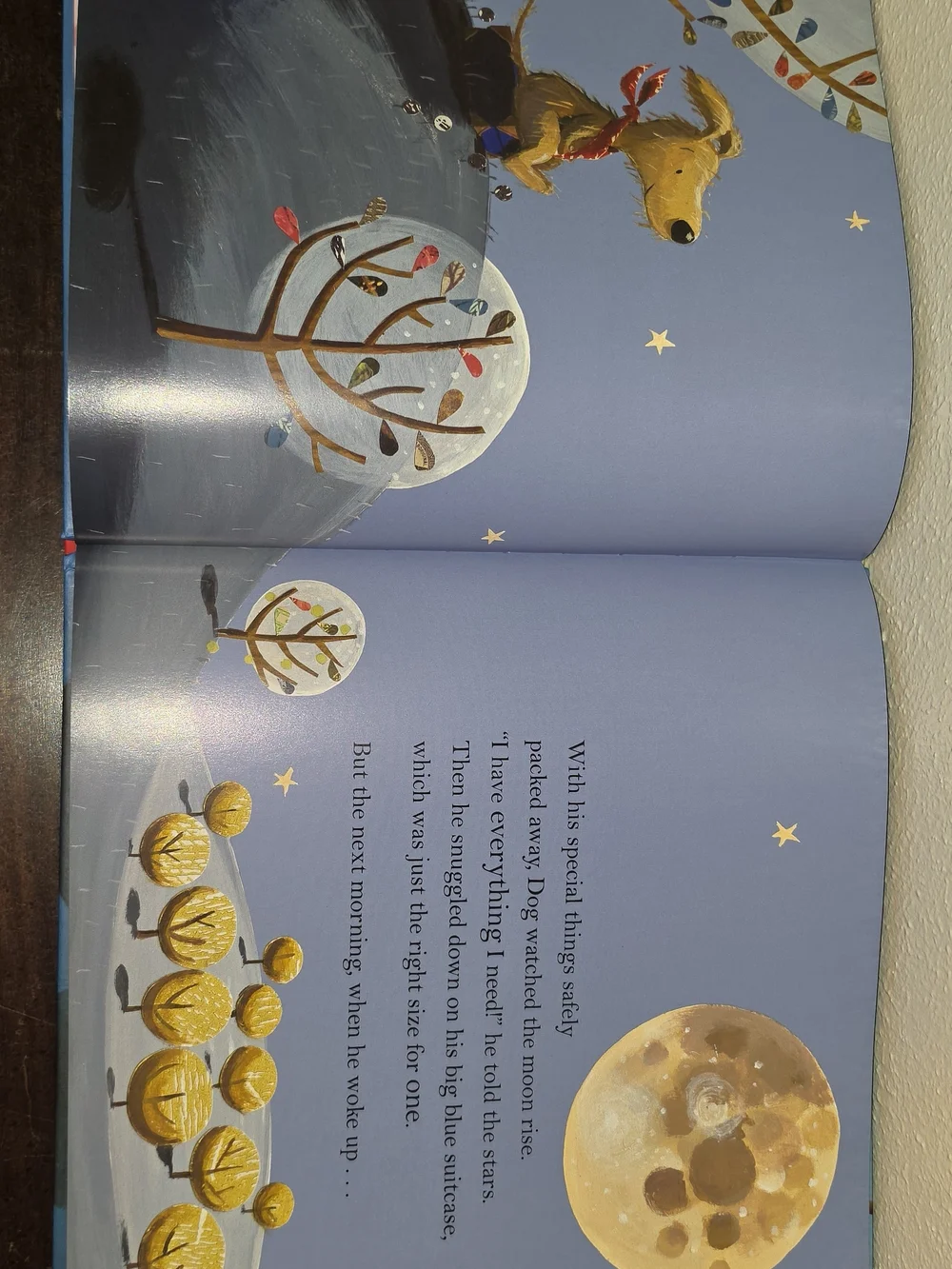 Just Right for Two Picture Book - Blue Cover